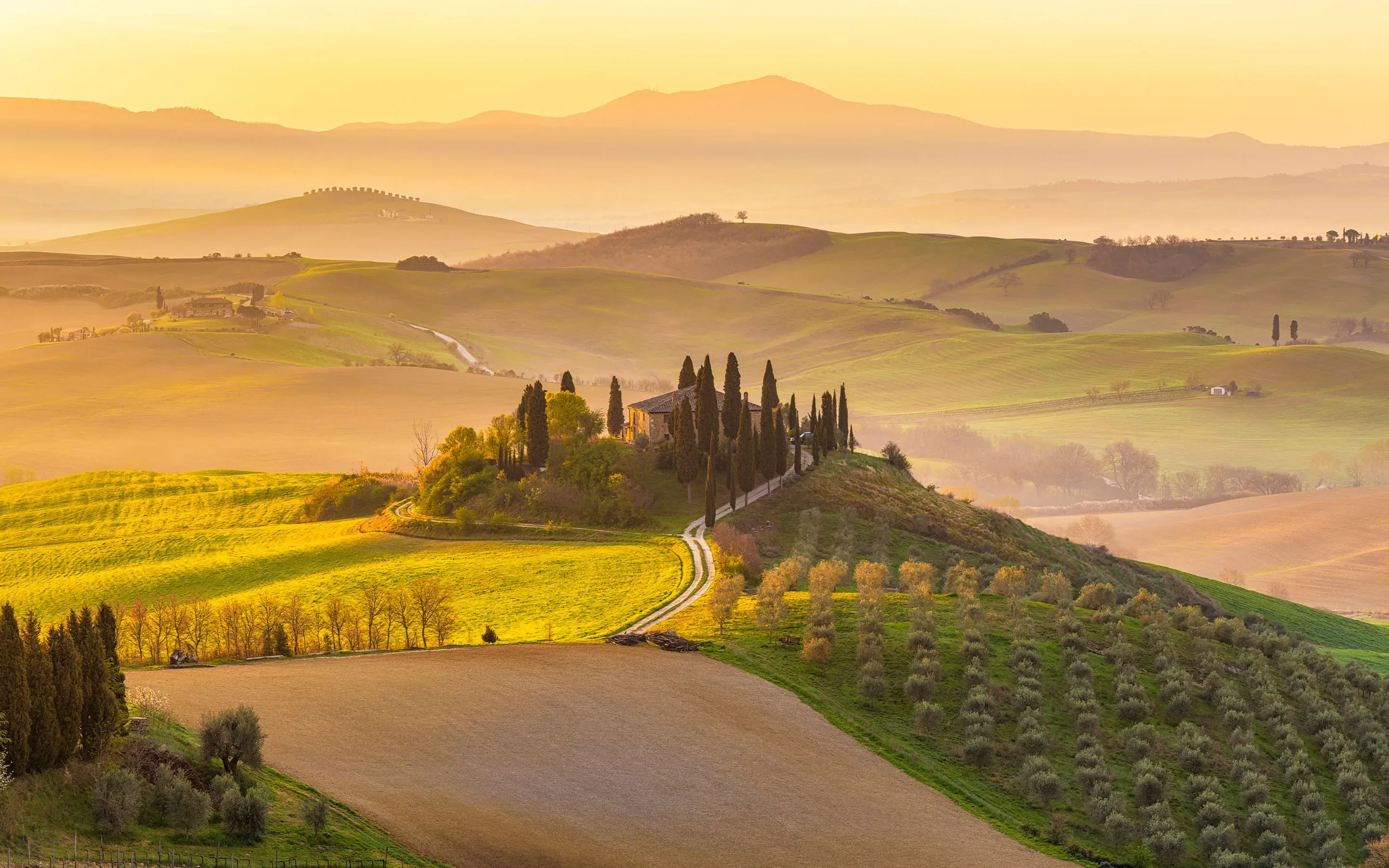 Italy